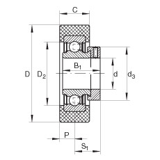 Radial insert ball bearings - RCSMB20/65-XL-FA106