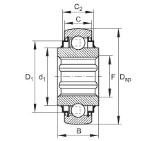 Self-aligning deep groove ball bearings - SK102-207-KRR-B-L402/70-AH11