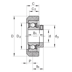 Radial insert ball bearings - RCRA20/46-XL-FA106