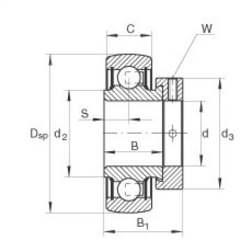Radial insert ball bearings - RALE25-XL-NPP-B