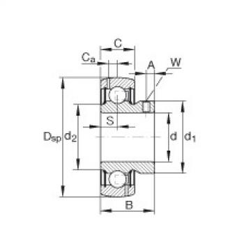 Radial insert ball bearings - GAY100-NPP-B-AS2/V