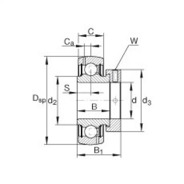 Radial insert ball bearings - GRA100-NPP-B-AS2/V
