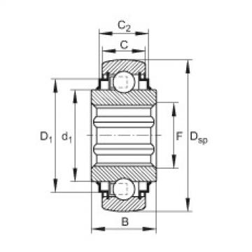Self-aligning deep groove ball bearings - SK100-206-KRR-B-AH11