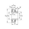 Radial insert ball bearings - GAY100-NPP-B-AS2/V #1 small image